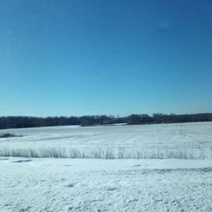 Meet your Posher, Ramon